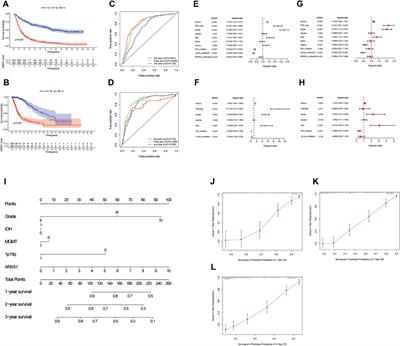 ANXA1: An Important Independent Prognostic Factor and Molecular Target in Glioma